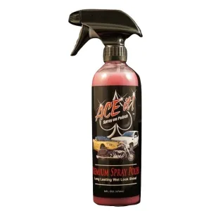 Daniel Smart Ace It Premium Spray Polish, 16oz